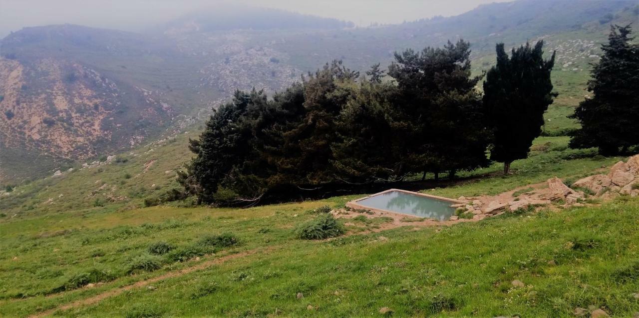 Si-Har Chalets Nimrod ภายนอก รูปภาพ